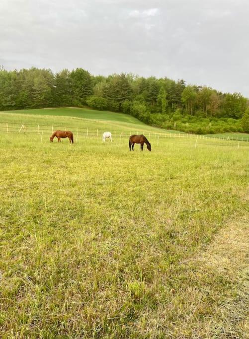 Appartamento In Cascina -La Cascinetta Di Ali- Roatto ภายนอก รูปภาพ