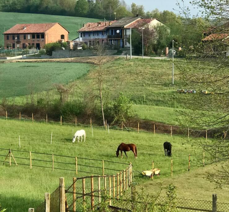 Appartamento In Cascina -La Cascinetta Di Ali- Roatto ภายนอก รูปภาพ