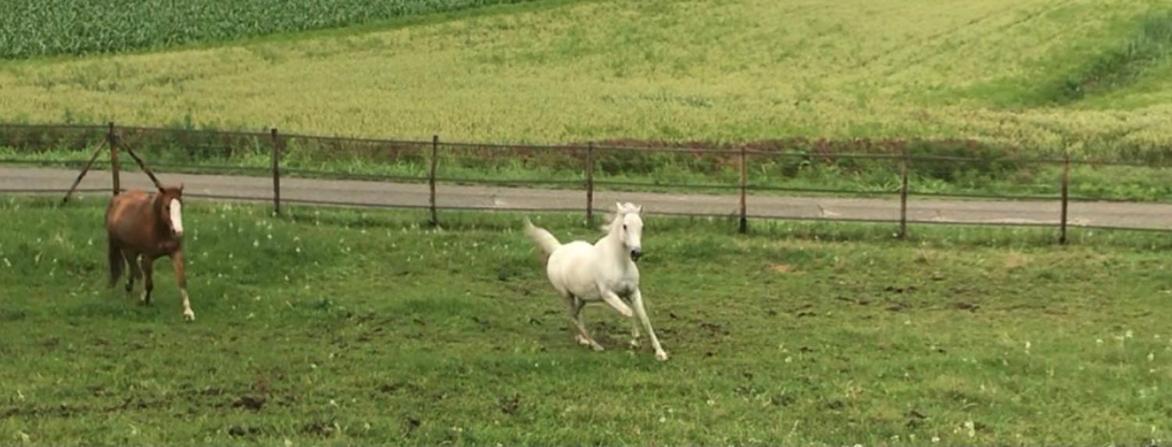 Appartamento In Cascina -La Cascinetta Di Ali- Roatto ภายนอก รูปภาพ