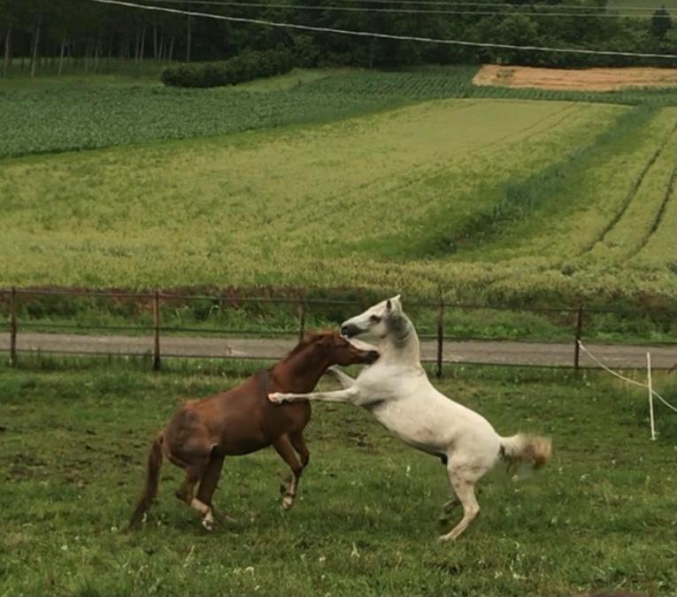 Appartamento In Cascina -La Cascinetta Di Ali- Roatto ภายนอก รูปภาพ